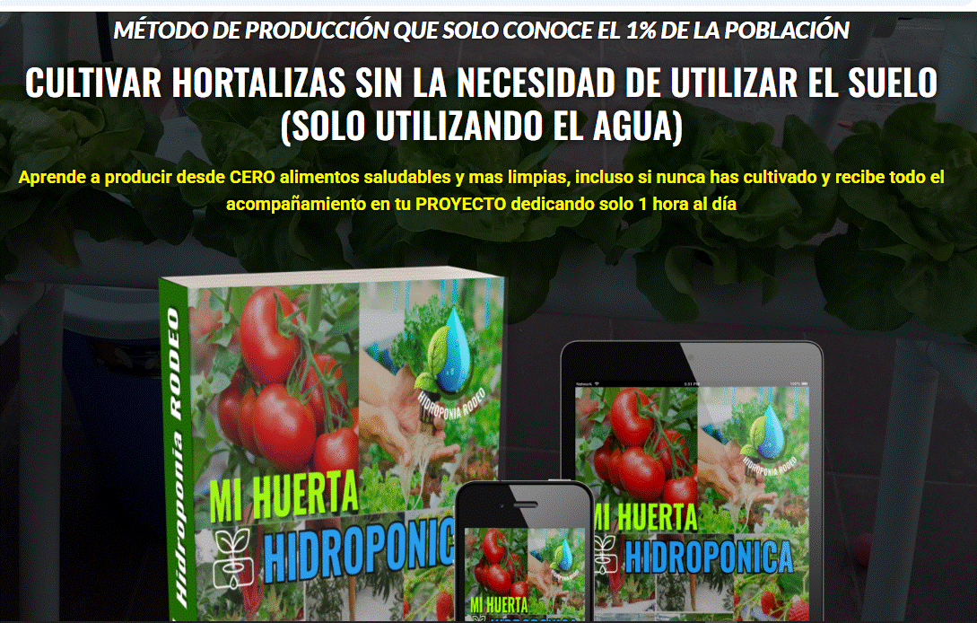💧 MI HUERTA HIDROPÓNICA – CULTIVA SIN TIERRA, CONECTA CON LA VIDA