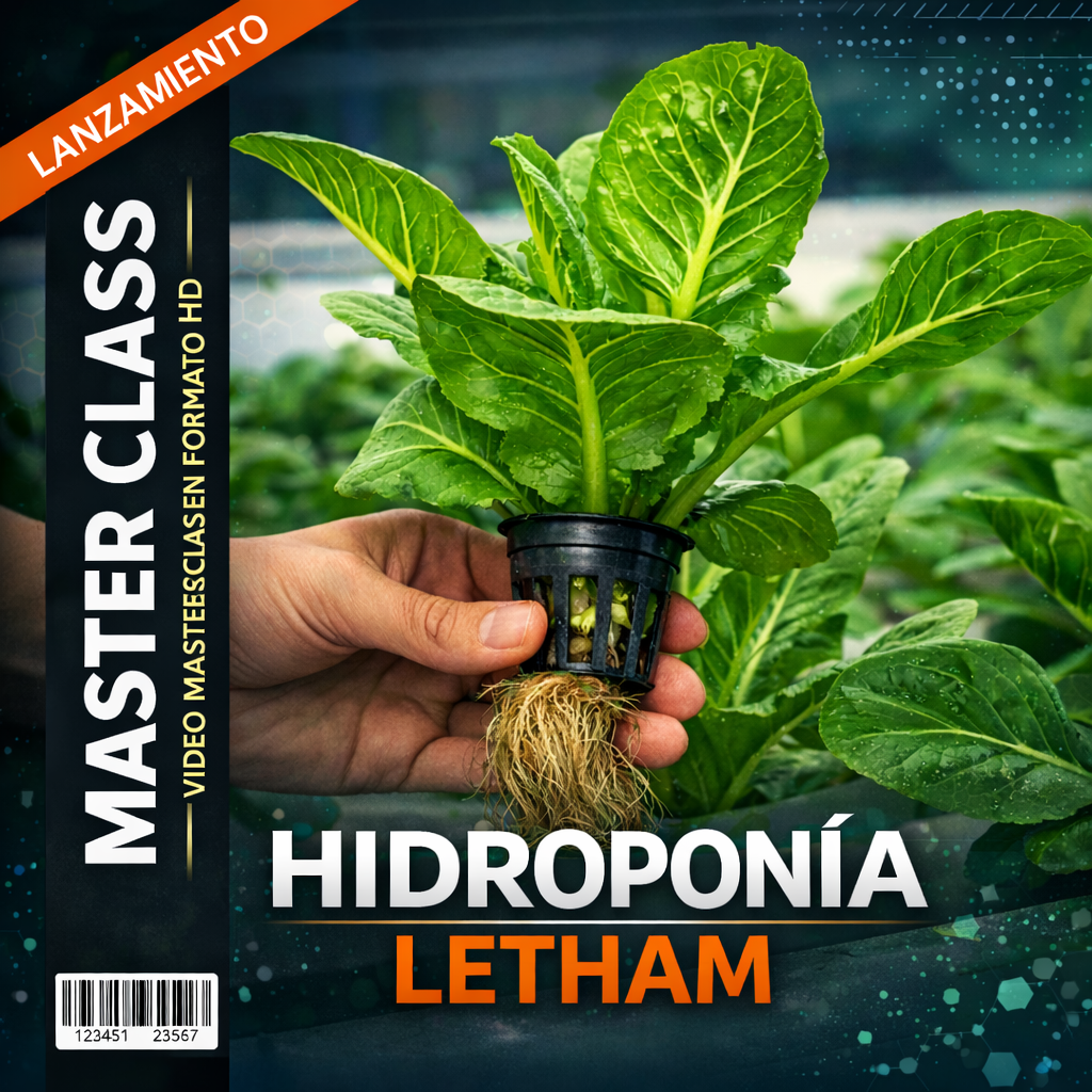 🌱 Hidroponía Letham - MasterClass
