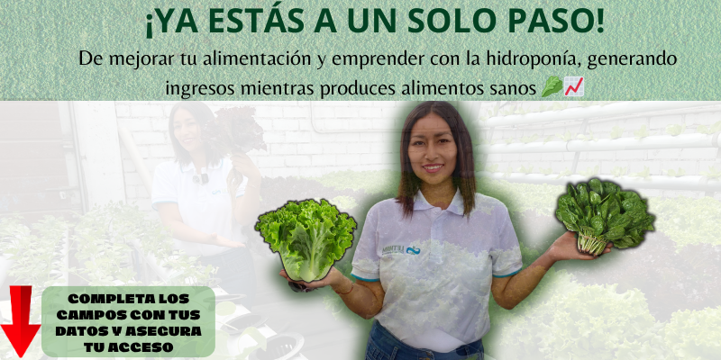 🌱 Hidroponía Letham - MasterClass